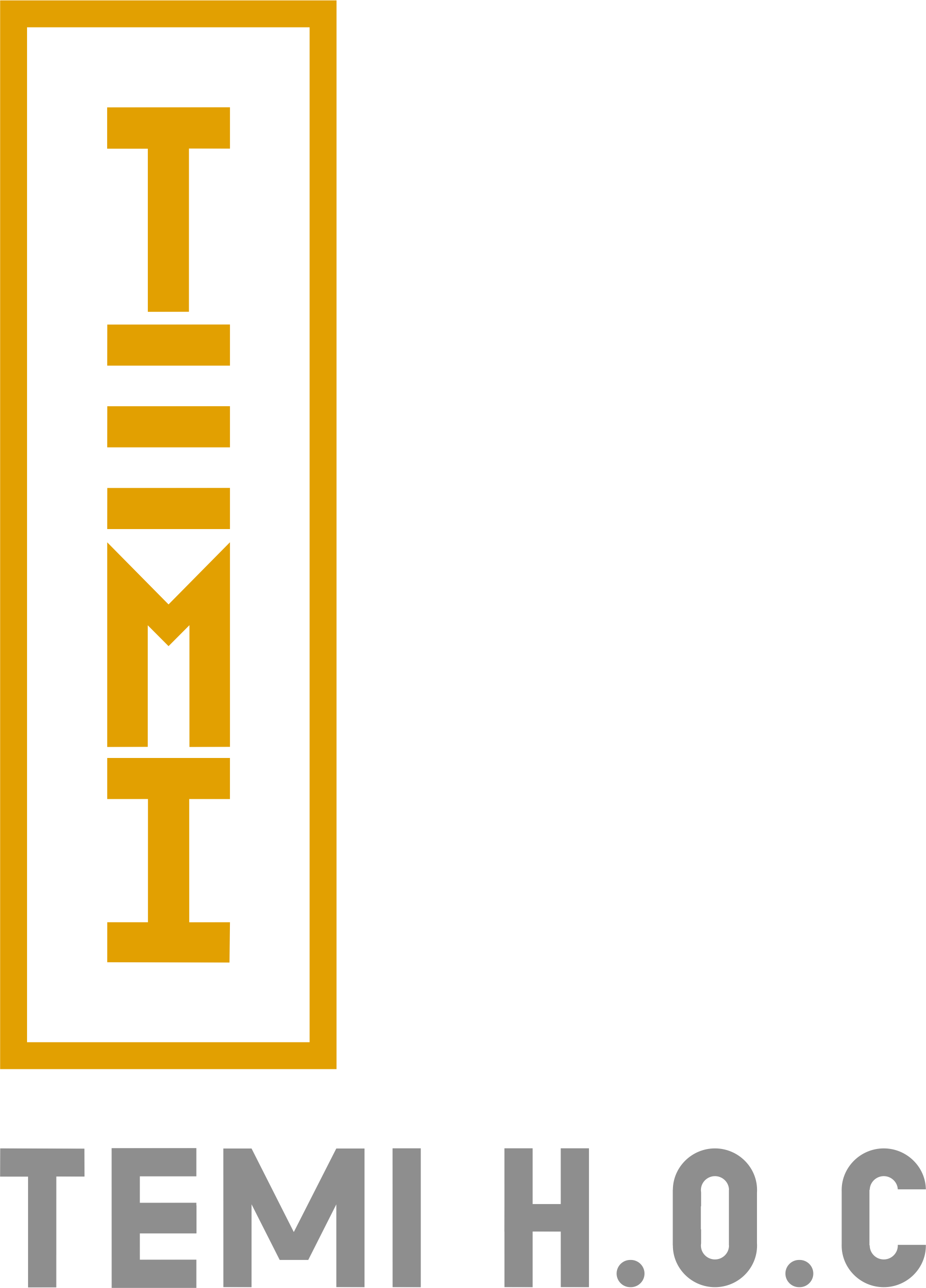 TEMI HOC Logo